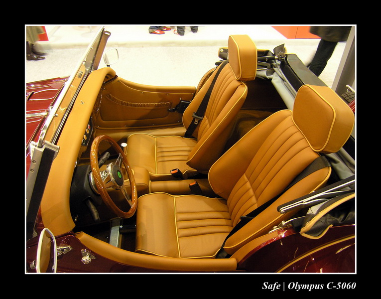 2006 - 02 - Retromobile 2006 - 171.JPG